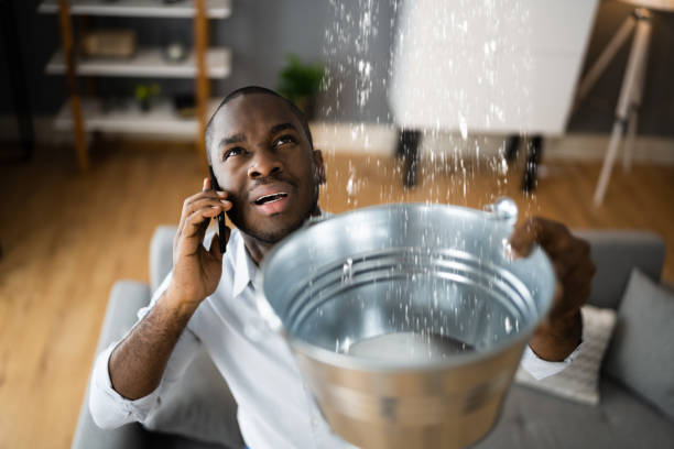 Best Residential water damage restoration  in Rogersville, AL