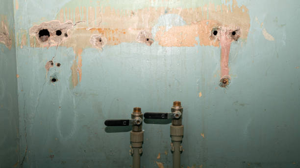 Best Flood restoration services  in Rogersville, AL