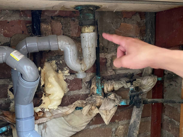 Best Sewage cleanup and water damage restoration  in Rogersville, AL