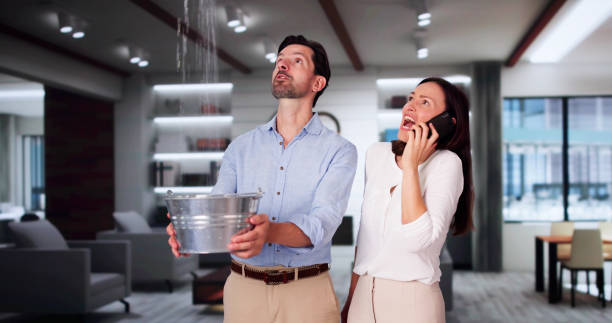  Rogersville, AL Water damage restoration Pros