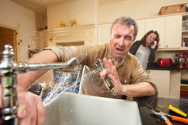 Best Flooded house restoration  in Rogersville, AL